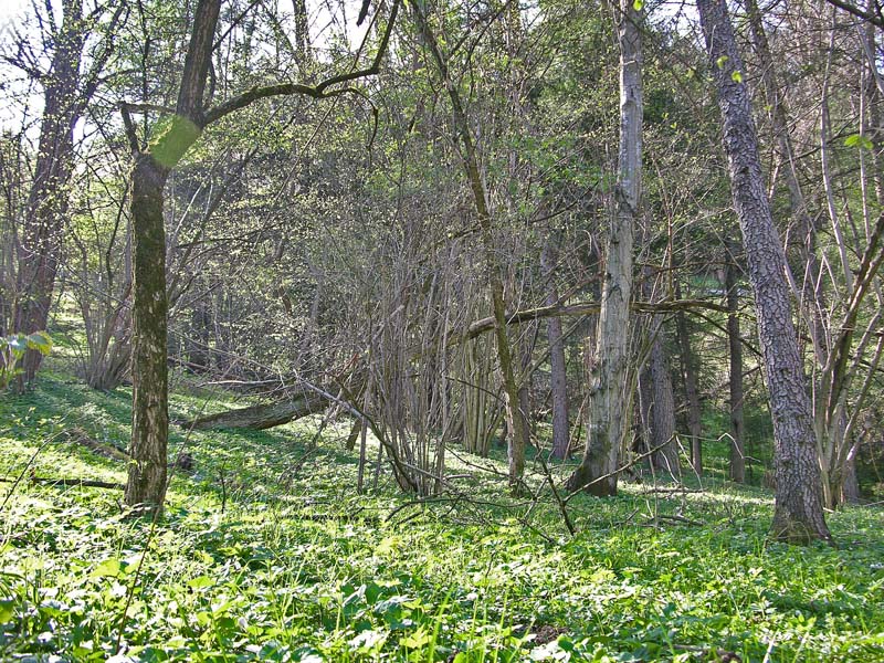 Ritrovamenti, mercoledi 10 aprile.